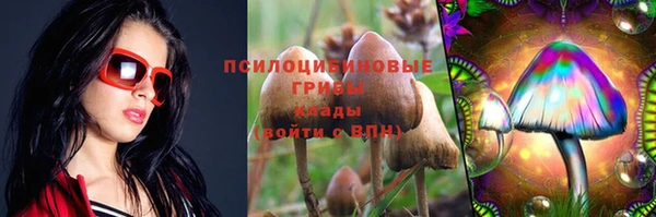 spice Магадан