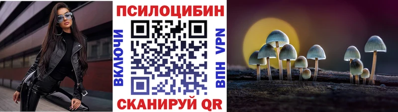 Галлюциногенные грибы ЛСД Питкяранта